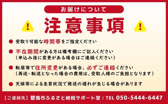 愛知県碧南市のふるさと納税 鮮度抜群！朝採り とうもろこし 味来 6本(3Lサイズ) レンジで簡単調理&鮮度保持が出来る袋付き　H132-030