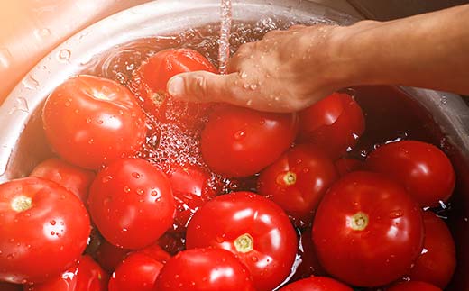 北海道のふるさと納税 有機栽培トマトジュース ゆうきくん 20缶 食絶景北海道×ゼロカーボンアワード2023優秀賞 トマト ジュース 飲料 完熟 有機栽培 ロングセラー F6S-418