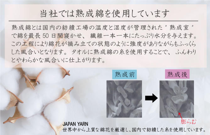 大阪府泉佐野市のふるさと納税 【特別規格】訳あり ハンドタオル 詰め合わせ 10枚セット【泉州タオル 国産 吸水 普段使い 無地 シンプル 日用品 家族 ファミリー】 knt0005