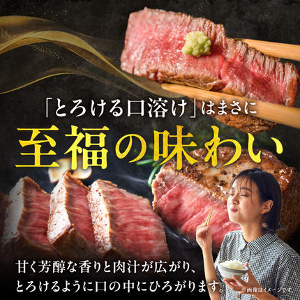 宮崎県都城市のふるさと納税 宮崎牛シャトーブリアンステーキ150gx8枚_AK-N201
