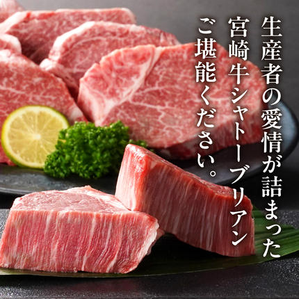 宮崎県都城市のふるさと納税 宮崎牛シャトーブリアンステーキ150gx8枚_AK-N201