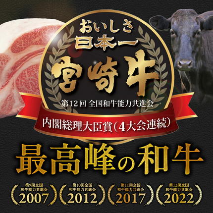 宮崎県都城市のふるさと納税 宮崎牛シャトーブリアンステーキ150gx8枚_AK-N201
