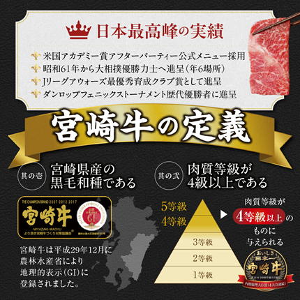 宮崎県都城市のふるさと納税 宮崎牛シャトーブリアンステーキ150gx8枚_AK-N201