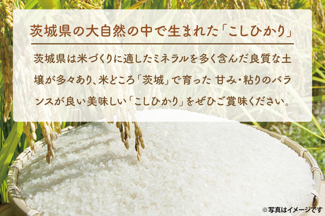 茨城県大洗町のふるさと納税 ＜令和7年産＞ 吟穂豊穣こしひかり 5kg 精米 コシヒカリ こしひかり 米 ごはん コメ お米 白米 国産 茨城県産