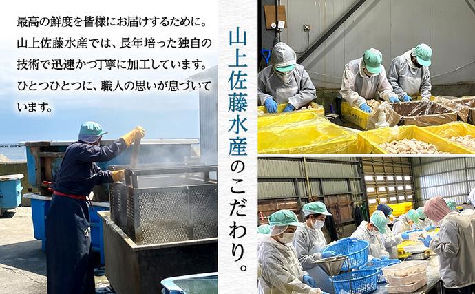 浜茹でボイル冷凍たこ足 約1.2kg［オホーツク枝幸産］山上佐藤水産