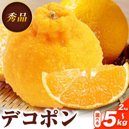 デコポン 選べる 内容量 約2kg〜約5kg 日本フルーツ株式会社 熊本県 長洲町 [12月中旬-4月上旬頃出荷] デコポン 果物 秀品