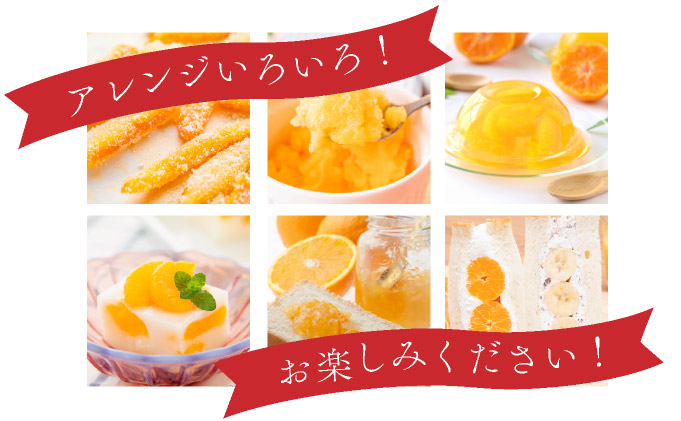 佐賀県大町町のふるさと納税 みかんの「大トロ」佐賀産かんきつ・せとか 約1.5kg(4-8玉) / ふるさと納税 佐賀 フルーツ濃厚 甘い 酸味 大町 贈答 ギフト 贈り物