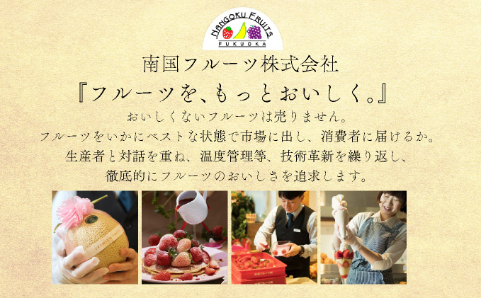 佐賀県大町町のふるさと納税 みかんの「大トロ」佐賀産かんきつ・せとか 約1.5kg(4-8玉) / ふるさと納税 佐賀 フルーツ濃厚 甘い 酸味 大町 贈答 ギフト 贈り物