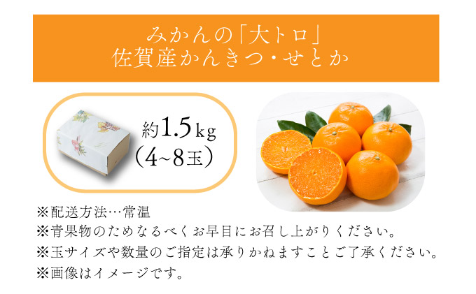 佐賀県大町町のふるさと納税 みかんの「大トロ」佐賀産かんきつ・せとか 約1.5kg(4-8玉) / ふるさと納税 佐賀 フルーツ濃厚 甘い 酸味 大町 贈答 ギフト 贈り物