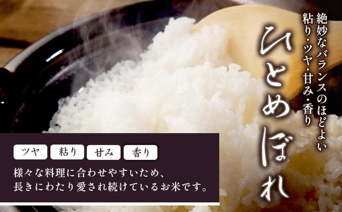 宮城県白石市のふるさと納税 【2025年産】ひとめぼれ（精米）2kg【数量限定】【490016】