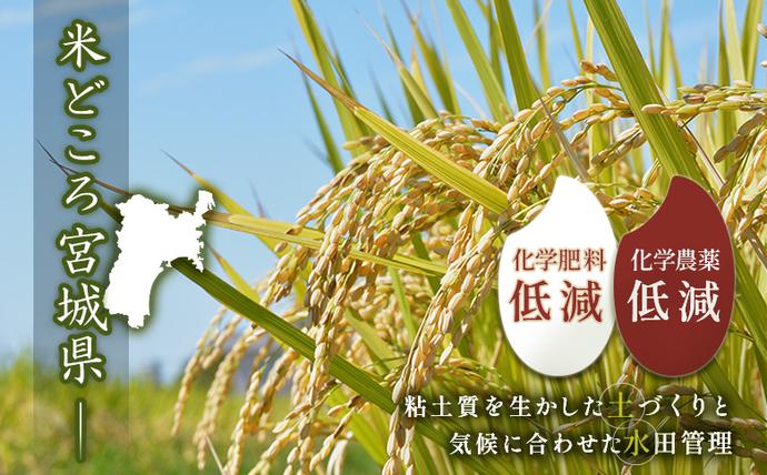 宮城県白石市のふるさと納税 【2025年産】つや姫（精米）2kg【数量限定】【490017】