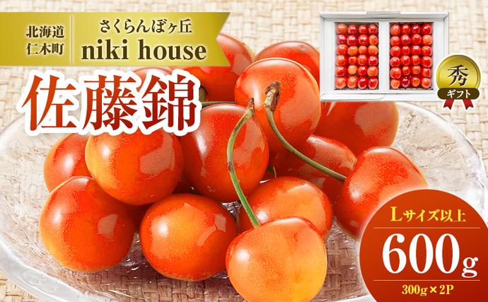 [先行受付] さくらんぼ  佐藤錦 さくら