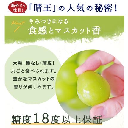 岡山県赤磐市のふるさと納税 ぶどう 2026年 先行予約 シャインマスカット 晴王 1房 約800g 化粧箱入り 岡山県 赤磐市産 果物 フルーツ 葡萄 ブドウ