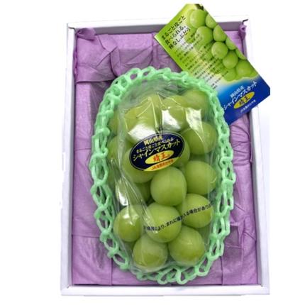 岡山県赤磐市のふるさと納税 ぶどう 2026年 先行予約 シャインマスカット 晴王 1房 約800g 化粧箱入り 岡山県 赤磐市産 果物 フルーツ 葡萄 ブドウ