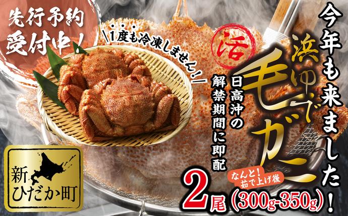 北海道新ひだか町のふるさと納税 北海道産 かに 浜ゆで 毛がに 2尾 計 600g 以上 ＜2026年2月中旬から順次発送＞ 毛蟹 毛ガニ 北海道 冷蔵 毛蟹 毛ガニ けがに かに 蟹 カニ かに味噌 カニ味噌 新鮮 旬 ボイル 浜茹で 海鮮 海産物 新鮮 旬 魚介 蟹味噌 みそ 新ひだか町