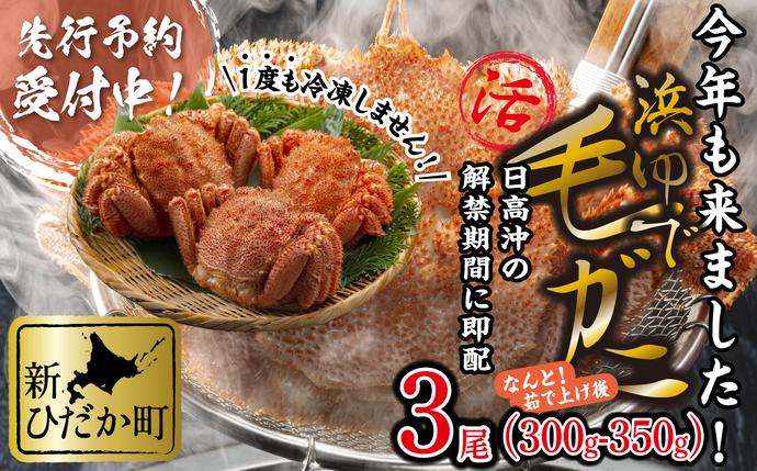 北海道産 かに 浜ゆで 毛がに 3尾 計 