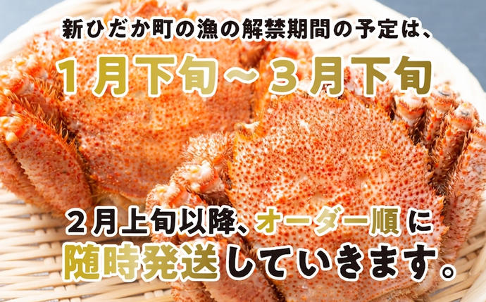 北海道新ひだか町のふるさと納税 ＜ 2027年2月上旬より発送開始 ＞ 北海道産 浜ゆで 毛ガニ 3尾 計 900g 以上 冷蔵 毛蟹 毛がに けがに かに 蟹 カニ かに味噌 カニ味噌 ＜ 予約受付 ＞