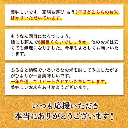 佐賀県神埼市のふるさと納税 【令和7年産】さがびより 精米 5kg【特A受賞米 米 5kg お米 コメ こめ 国産 美味しい ブランド米 人気 ランキング 増田米穀】(H015211)
