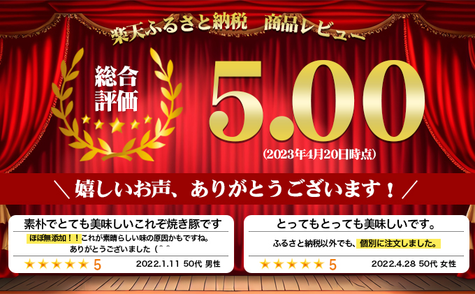 香川県綾川町のふるさと納税 焼き豚P国産スライス焼豚130g×7 加工品 惣菜 冷凍 加工食品