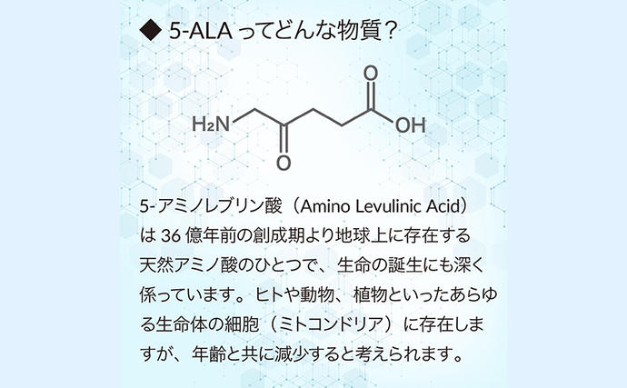 静岡県袋井市のふるさと納税 アラヴィータ ブースターデュオ 美容液 化粧品 コスメ スキンケア うるおい 静岡