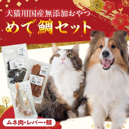 犬猫特集 | セゾンのふるさと納税