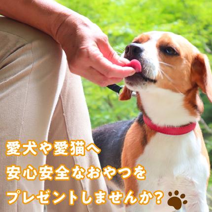 愛知県小牧市のふるさと納税 【厳選素材】犬猫用 国産無添加おやつ 鯛・名古屋コーチンむね肉・名古屋コーチンレバー めで鯛セット［143O29］