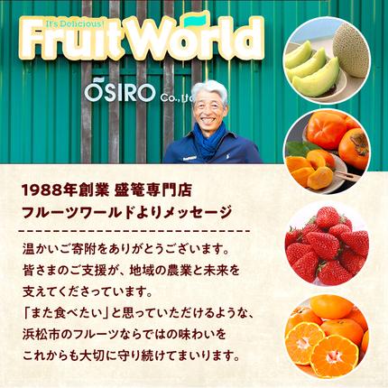 静岡県浜松市のふるさと納税 【2027年1月中旬より発送】 フルーツ 定期便 2ヶ月 三ヶ日みかん 紅ほっぺ フルーツ定期便 青島みかん みかん いちご 果物 旬のフルーツ 旬の果物 季節のフルーツ 静岡 静岡県 浜松市 2回 定期 【配送不可：離島】