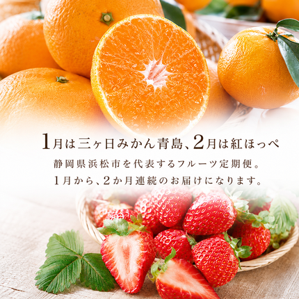 静岡県浜松市のふるさと納税 【2027年1月中旬より発送】 フルーツ 定期便 2ヶ月 三ヶ日みかん 紅ほっぺ フルーツ定期便 青島みかん みかん いちご 果物 旬のフルーツ 旬の果物 季節のフルーツ 静岡 静岡県 浜松市 2回 定期 【配送不可：離島】