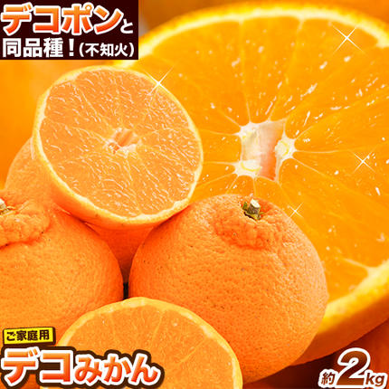ご家庭用 デコみかん 約2kg 前後 (約