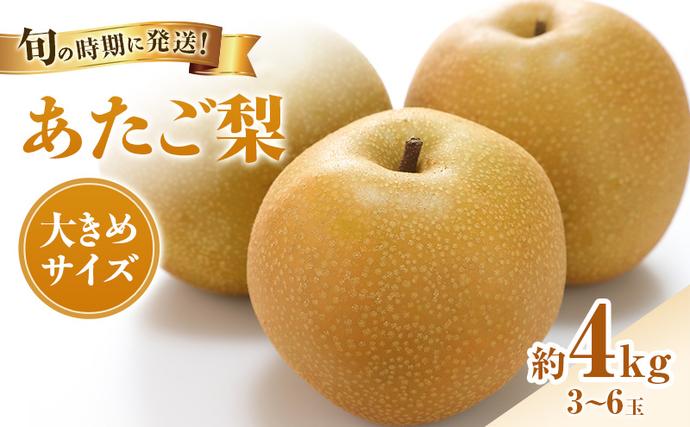 岡山県瀬戸内市のふるさと納税 【2026年先行受付】 梨 あたご梨  秀品 約4kg(3～6玉) 岡山名産 日本一大きな梨 なし ナシ お歳暮 ギフト 御礼 プレゼント 御礼 御祝 御供 果物 くだもの フルーツ