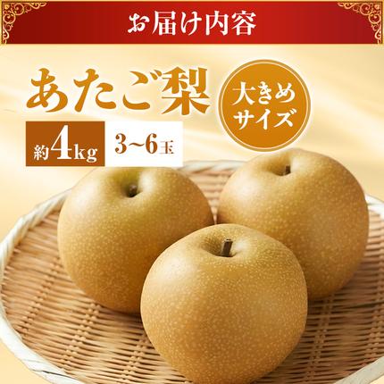 岡山県瀬戸内市のふるさと納税 【2026年先行受付】 梨 あたご梨  秀品 約4kg(3～6玉) 岡山名産 日本一大きな梨 なし ナシ お歳暮 ギフト 御礼 プレゼント 御礼 御祝 御供 果物 くだもの フルーツ