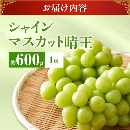 岡山県瀬戸内市のふるさと納税 【2026年先行受付】 シャインマスカット 晴王 秀品 約600g 1房 岡山県産 ぶどう 葡萄 ブドウ 御中元 ギフト 御礼 プレゼント 御礼 御祝 御供 果物 くだもの フルーツ