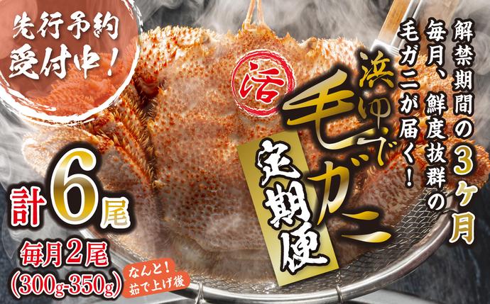 ＜ 2027年2月上旬より発送開始 ＞ 【