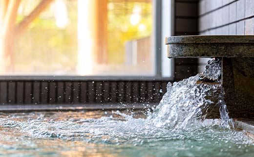 北海道沼田町のふるさと納税 ほろしん温泉ほたる館 宿泊券【1泊2食】（１名様） 北海道 旅行 ホテル n-0004