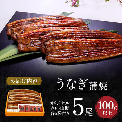 静岡県浜松市のふるさと納税 うなぎ 国産 長蒲焼 5尾 小分け 詰め合わせ 国産 うなぎ蒲焼 国産うなぎ 惣菜 おかず ギフト 贈答 贈答用 贈答品 土用の丑の日 丑の日 レンジ調理 レンチン 蒲焼き うな重 鰻 真空パック 冷蔵 冷蔵配送 静岡 静岡県 浜松市