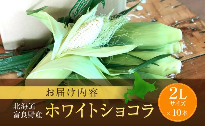北海道富良野市のふるさと納税 【セゾン限定】【2026年7月中旬～発送】北海道 富良野産 ホワイトコーン『ホワイトショコラ』BIG 2L サイズ 10本 とうもろこし (NORTH FUN) とうもろこし とうきび コーン 野菜 新鮮 甘い ジューシー 贈り物 ギフト 道産 直送 ふらの とうもろこし トウモロコシ 白とうもろこし ホワイト