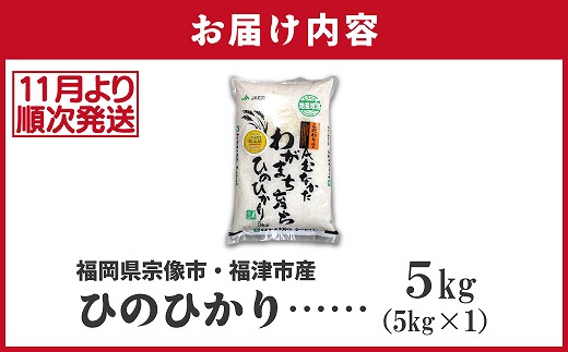 福岡県福津市のふるさと納税 【令和7年産米】【2025年11月より順次発送】JAよりお届け！「ひのひかり」 5kg（5kg×1袋）[G2314b]