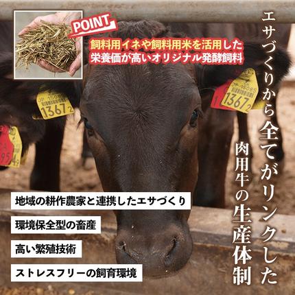 鹿児島県日置市のふるさと納税 No.1100-A 自慢の自社グループブランド牛「上村牛ユッケ」(7人前) タレ付 国産 九州産 牛肉 黒毛和牛 和牛 ユッケ 生食 小分け 冷凍 ギフト 贈答【LRプラスK】