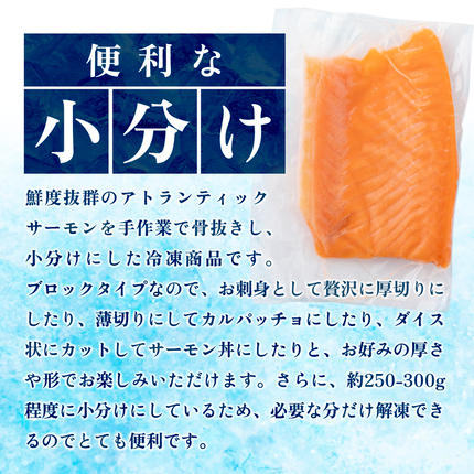 福岡県篠栗町のふるさと納税 アトランティックサーモン 刺身用柵 900g（養殖）