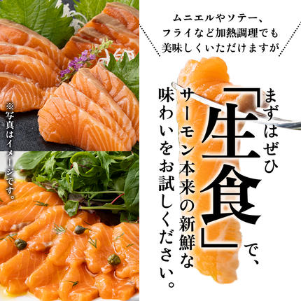 福岡県篠栗町のふるさと納税 アトランティックサーモン 刺身用柵 900g（養殖）