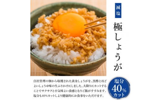 高知県芸西村のふるさと納税 減塩味付け極しょうが110g×1袋 - 減塩 しょうが ショウガ 生姜 生ふりかけ 坂田信夫商店 黄金しょうが 高知 国産 料理 おかず 調味料 ご飯のお供 混ぜご飯 刻み生姜 健康 話題