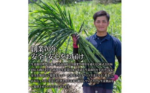 高知県芸西村のふるさと納税 減塩味付け極しょうが110g×1袋 - 減塩 しょうが ショウガ 生姜 生ふりかけ 坂田信夫商店 黄金しょうが 高知 国産 料理 おかず 調味料 ご飯のお供 混ぜご飯 刻み生姜 健康 話題