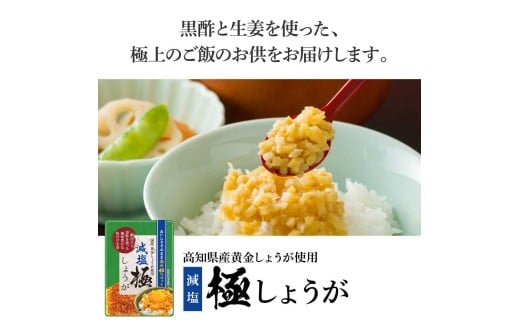 高知県芸西村のふるさと納税 減塩味付け極しょうが110g×1袋 - 減塩 しょうが ショウガ 生姜 生ふりかけ 坂田信夫商店 黄金しょうが 高知 国産 料理 おかず 調味料 ご飯のお供 混ぜご飯 刻み生姜 健康 話題