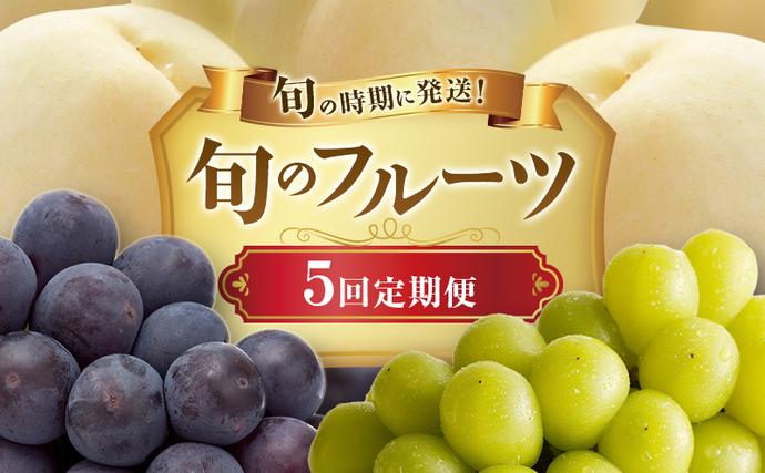【2026年先行受付】 白桃 ニューピオー