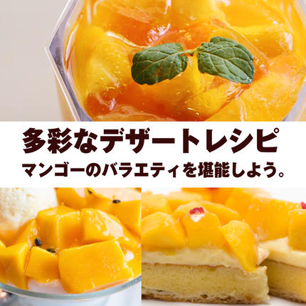 沖縄県南風原町のふるさと納税 【2026年発送】南風原農園　家庭用アーウィンマンゴー1.5kg