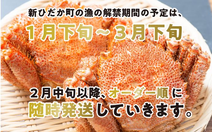 北海道新ひだか町のふるさと納税 訳あり 北海道産 浜ゆで 毛ガニ 2尾 (  1尾あたり 250g ～ 300g ) ＜2026年2月中旬から順次発送＞ 毛蟹 毛がに かに味噌 カニ味噌 新鮮 旬 ボイル 浜茹で 海鮮 海産物 わけあり 訳アリ