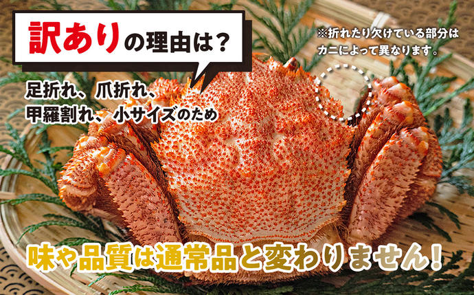 北海道新ひだか町のふるさと納税 訳あり 北海道産 浜ゆで 毛ガニ 2尾 (  1尾あたり 250g ～ 300g ) ＜2026年2月中旬から順次発送＞ 毛蟹 毛がに かに味噌 カニ味噌 新鮮 旬 ボイル 浜茹で 海鮮 海産物 わけあり 訳アリ