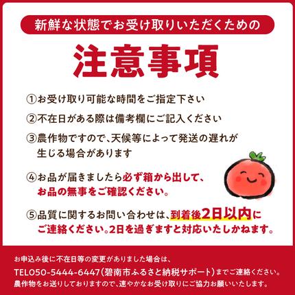 愛知県碧南市のふるさと納税 【2026年度予約分】【予約受付】 たった3ヶ月しか食べられない 幻 フルーツ トマト ファーストトマト 容量 約700g 特に美味しい 3月 ? 5月 限定発送 長田農園 完全木熟栽培 果皮 薄い もっちり食感 甘い リコピン 野菜 碧南市 送料無料 H004-120