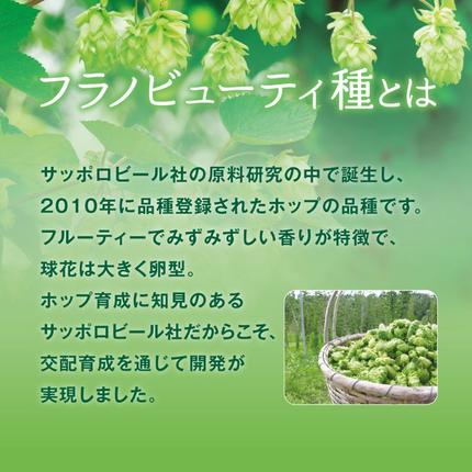 北海道上富良野町のふるさと納税 【セゾン限定】 炭酸水 500ml × 24本 北海道富良野ホップ炭酸水 [7営業日以内最短発送] ポッカサッポロ 無糖 北海道富良野ホップ ペットボトル 炭酸飲料 炭酸 ソーダ ソーダ水 飲み物 飲料 ドリンク (有)リカーショップかまだ 北海道 上富良野町