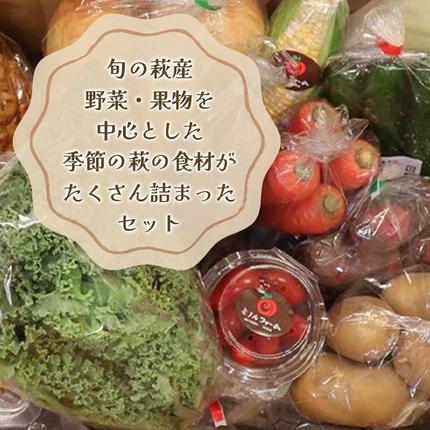 山口県萩市のふるさと納税 野菜ソムリエプロselect／萩・季節の食材定期便 隔月発送・3回コース
